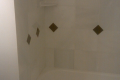 Bathroom-Remodel-(7)
