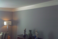 Interior-Painting-(3)